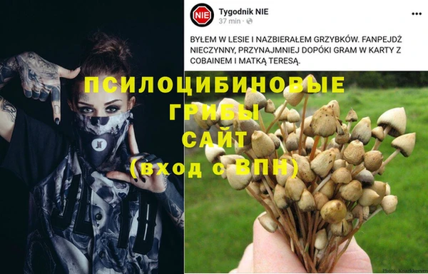 бошки Дмитровск