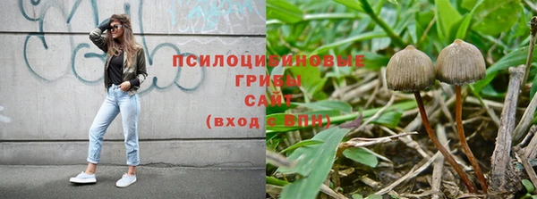 бошки Дмитровск