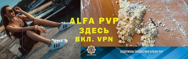 гидра Дмитриев