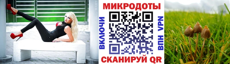 Галлюциногенные грибы мухоморы  Купить закладки  Ак-Довурак 